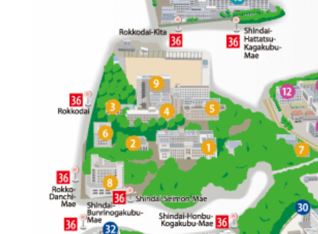 Campus for Kobe SALAD