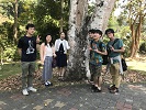 海外エクスターンシップの様子